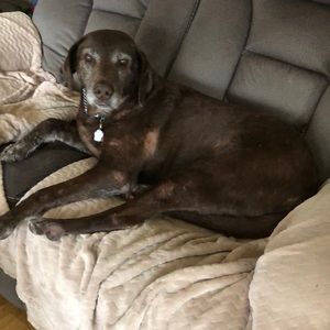 Meet your Posher, Vicki